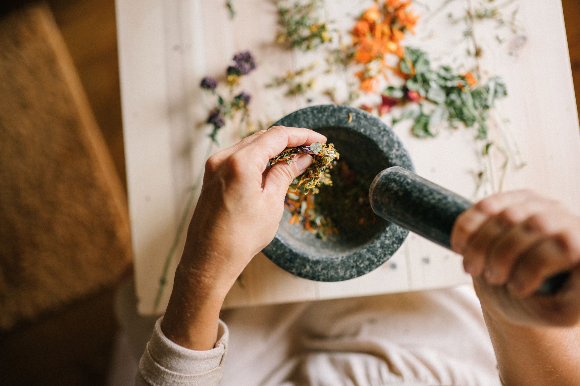 Naturopathe Roubaix